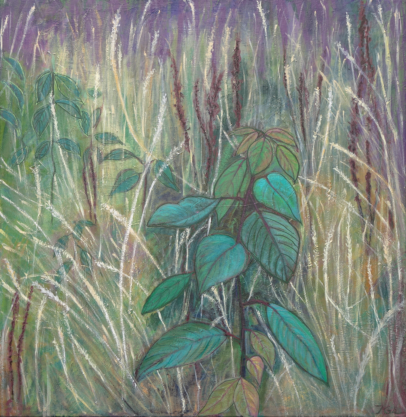 DSC05848